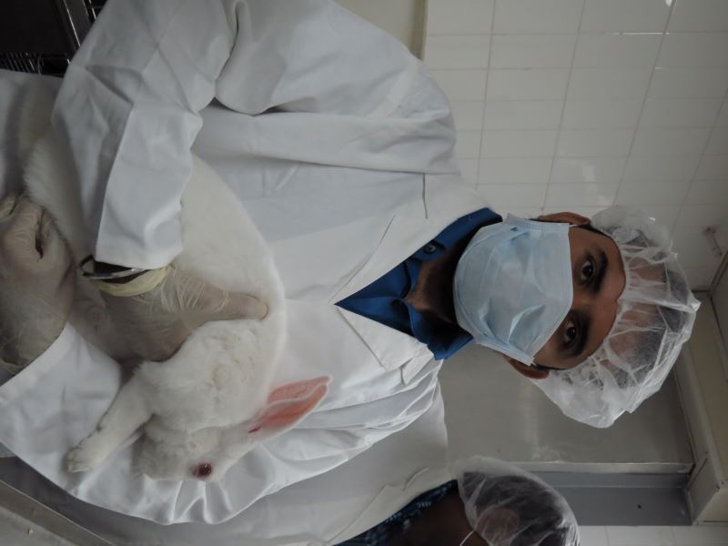 Animal Handling