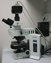 Fluorescent Microscope